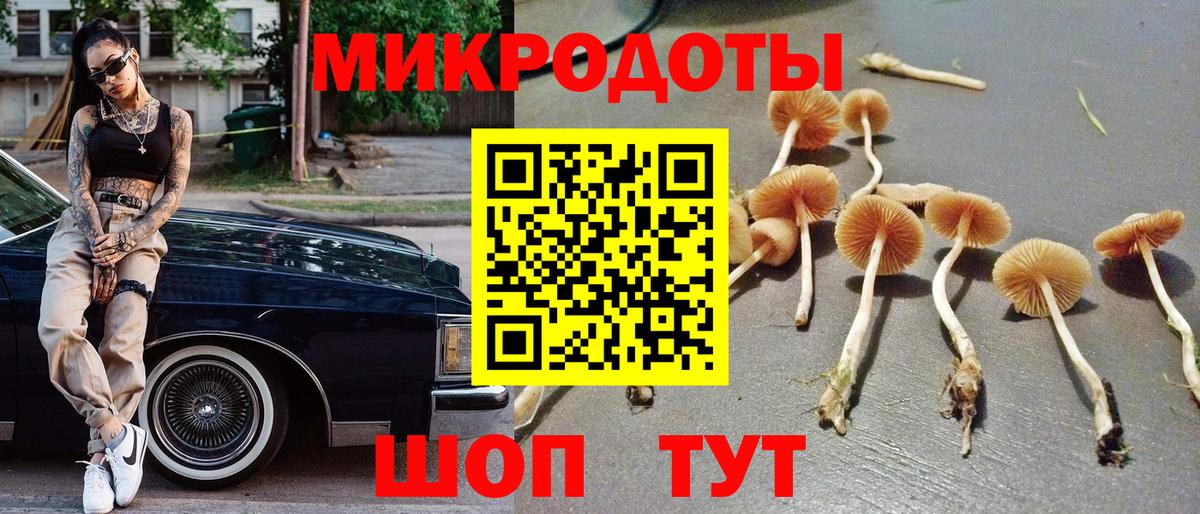 Галлюциногенные грибы ЛСД Петрозаводск