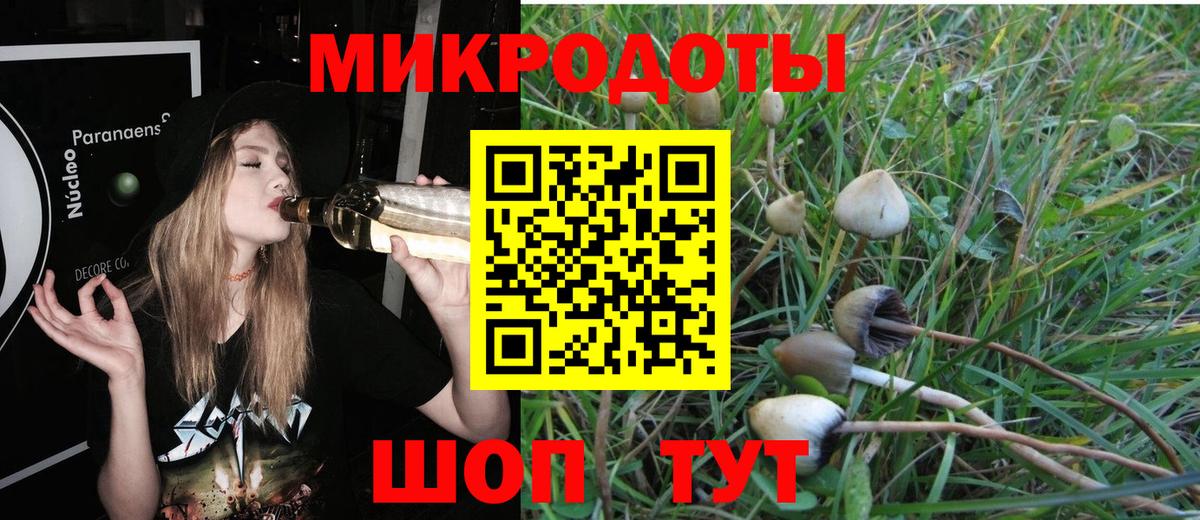 Галлюциногенные грибы мухоморы  Псилоцибиновые грибы Magic Shrooms  Петрозаводск  Вход с VPN 